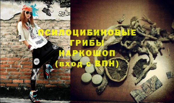 мяу мяу мука Переславль-Залесский