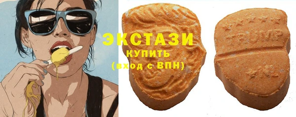 индика Заволжье